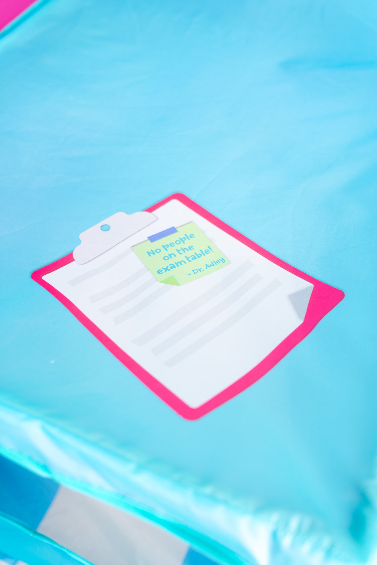 Adley & Niko's Vet Clinic Pop Up