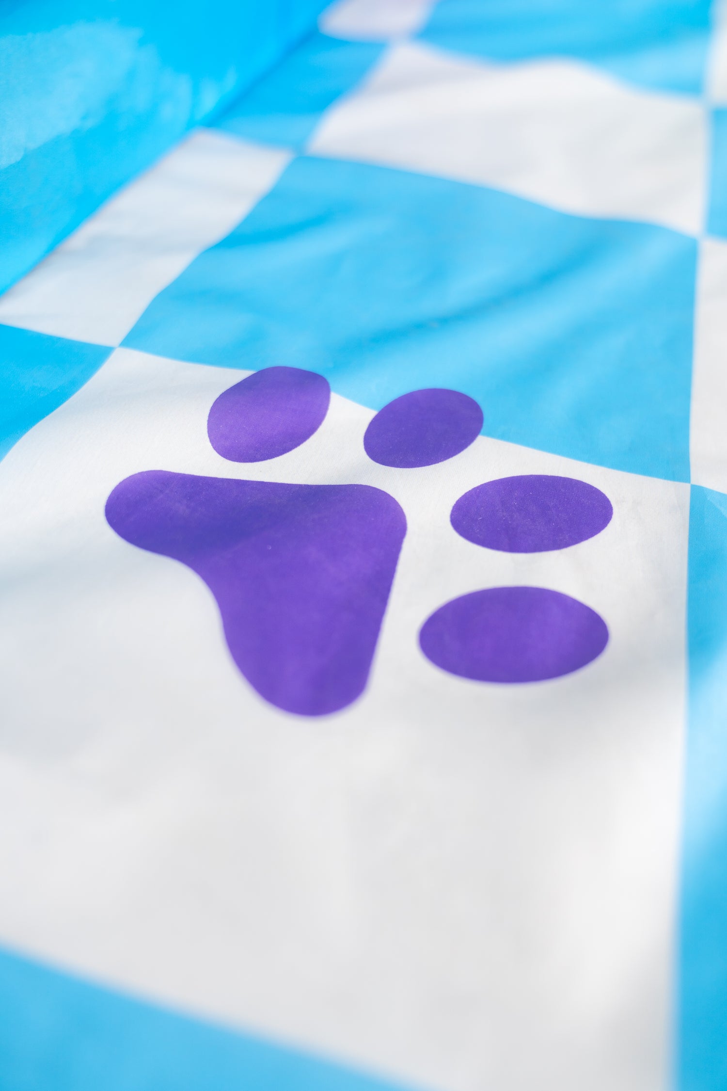 Adley & Niko's Vet Clinic Pop Up