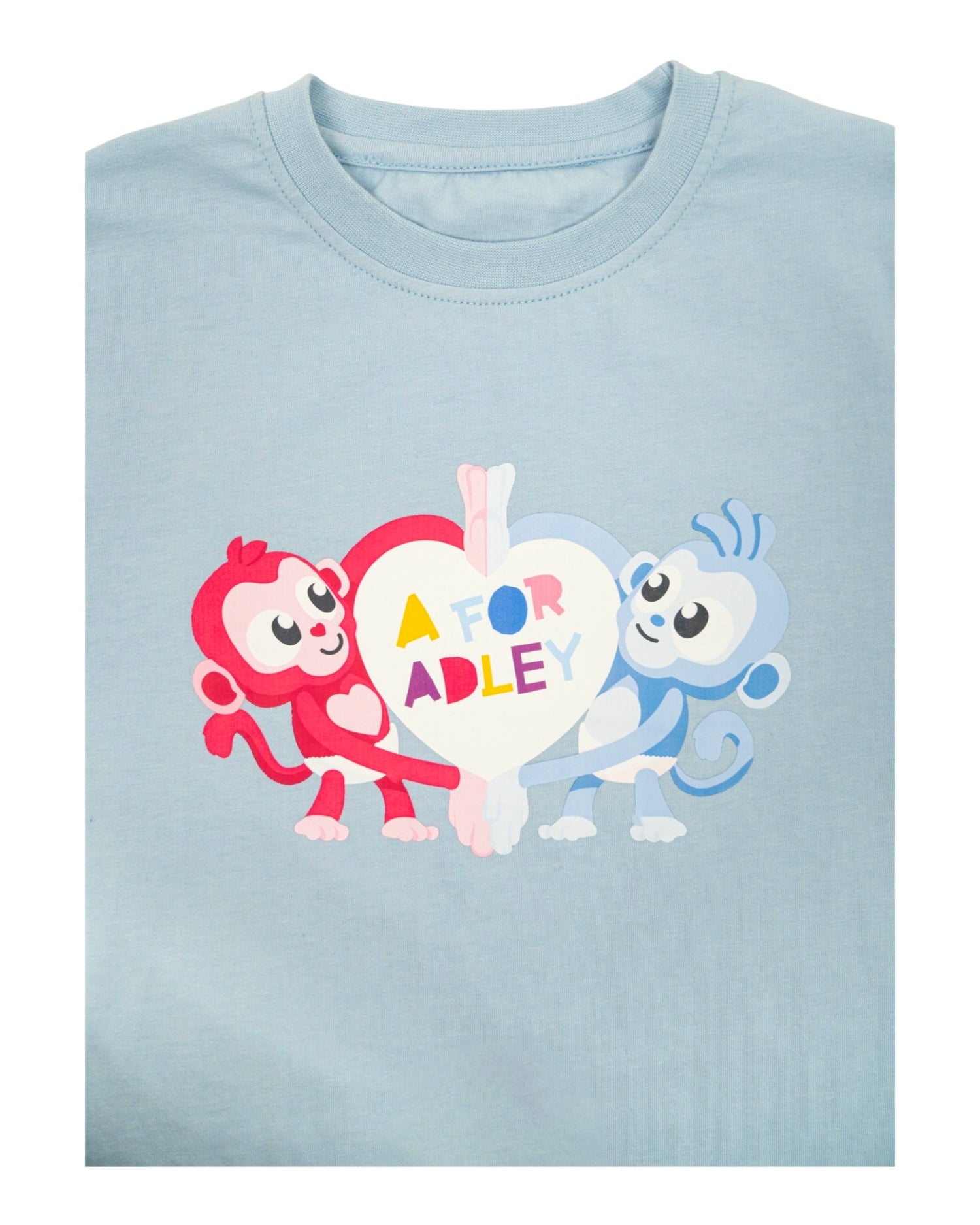 Baby Monkey Buddies Besties Tee