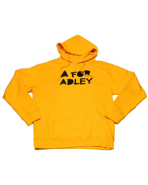 Grownups A for Adley BFF Blackout Hoodie (gold)