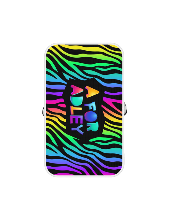 Adley's Neon Rainbow Jump Pad (Zebra)